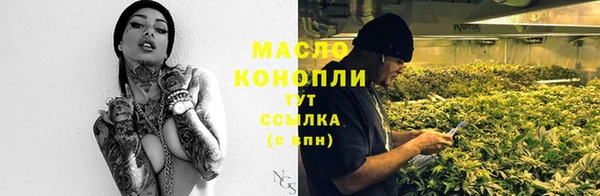 амф Зеленодольск