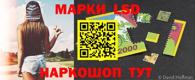 дмт Ставрополь