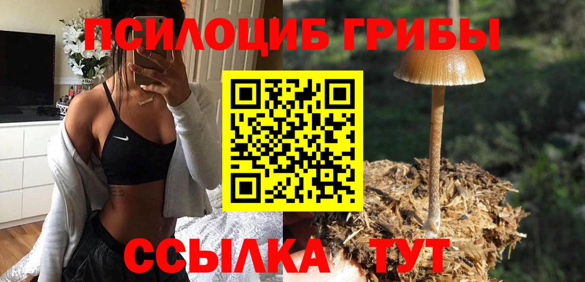 Псилоцибиновые грибы мицелий Магнитогорск